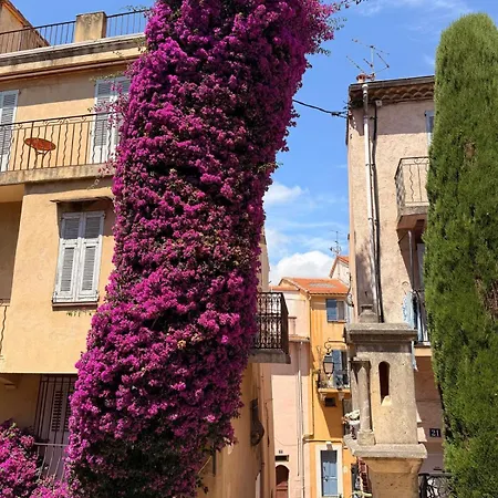 La Casa Du Suquet, Zone Pietonne * カンヌ